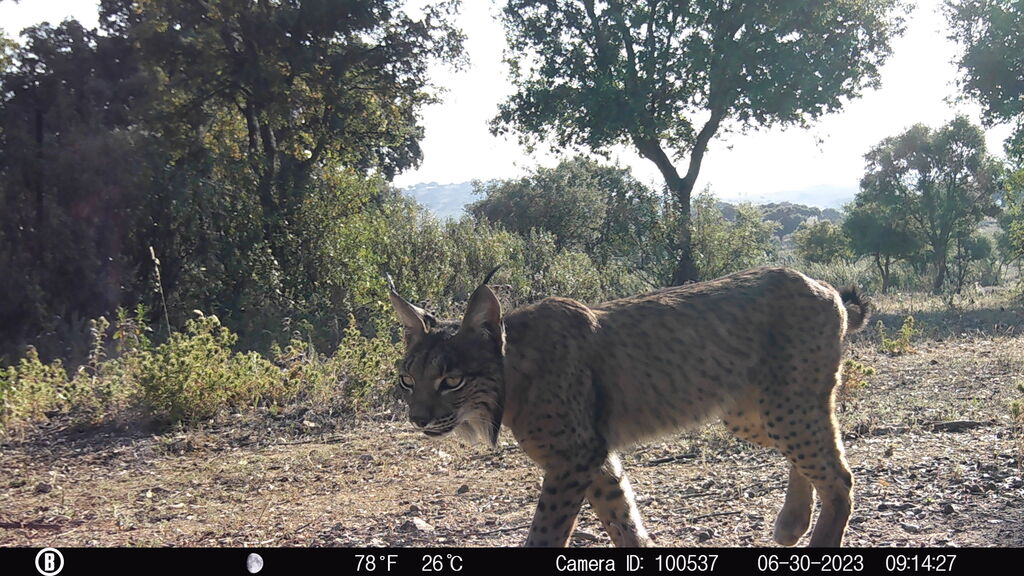 cbf724ce-6745-48dd-a0f8-c32160342c1f