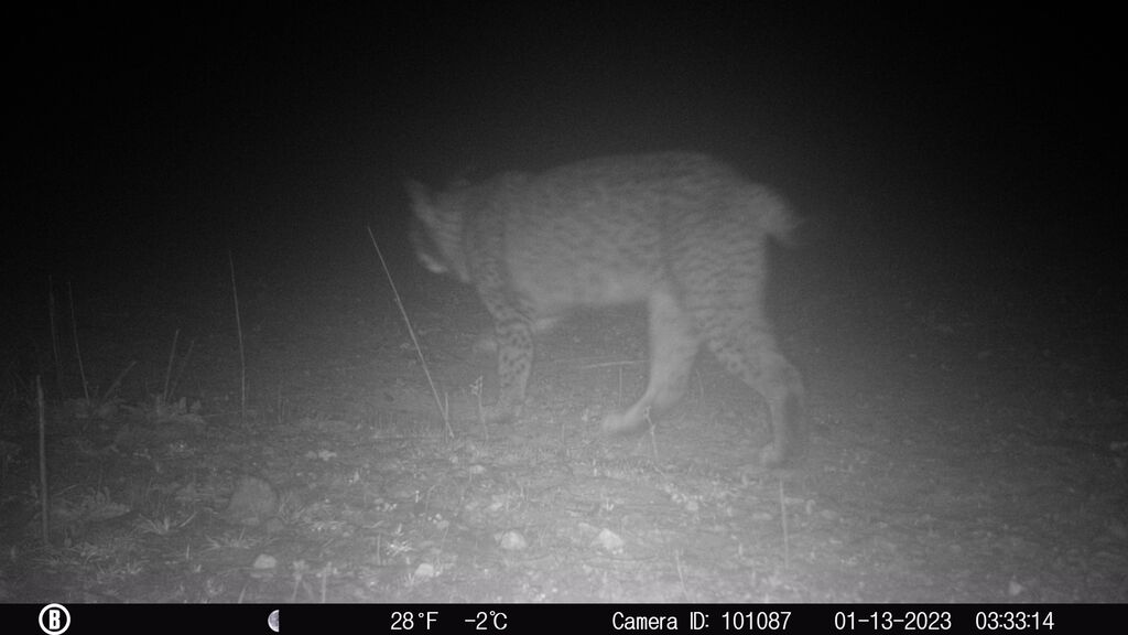 cbf724ce-6745-48dd-a0f8-c32160342c1f