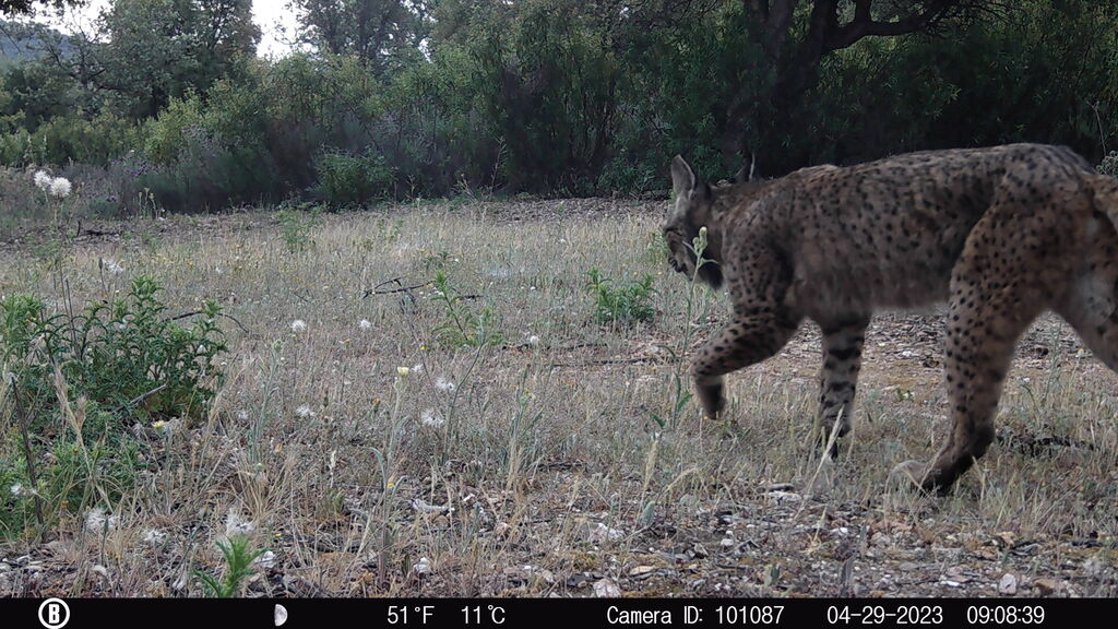 cbf724ce-6745-48dd-a0f8-c32160342c1f