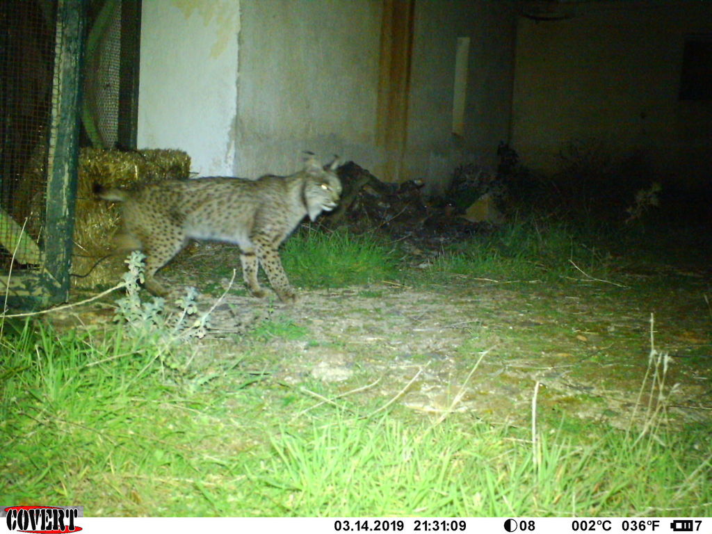 c0a75900-78a8-4b04-abd4-c2c9675f134c