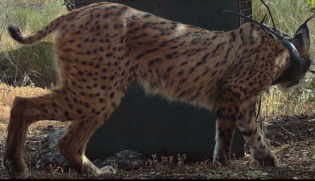 7e1391a7-99b5-4d41-8882-e9b6a6c5878c