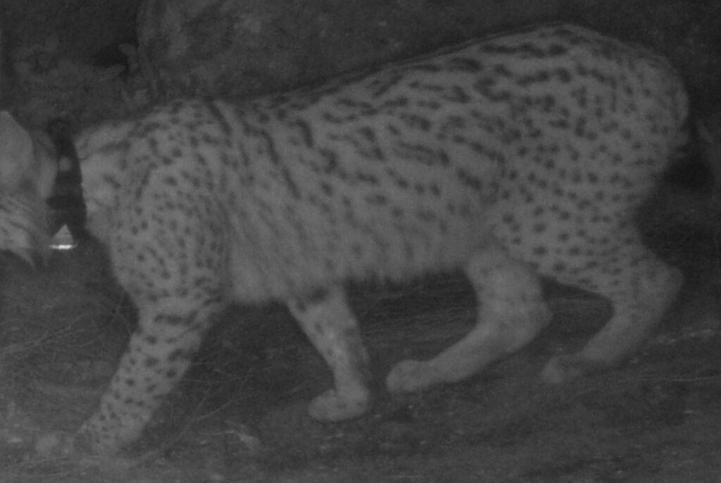 1c59b40b-38f4-4799-b73b-fc545ea7746d