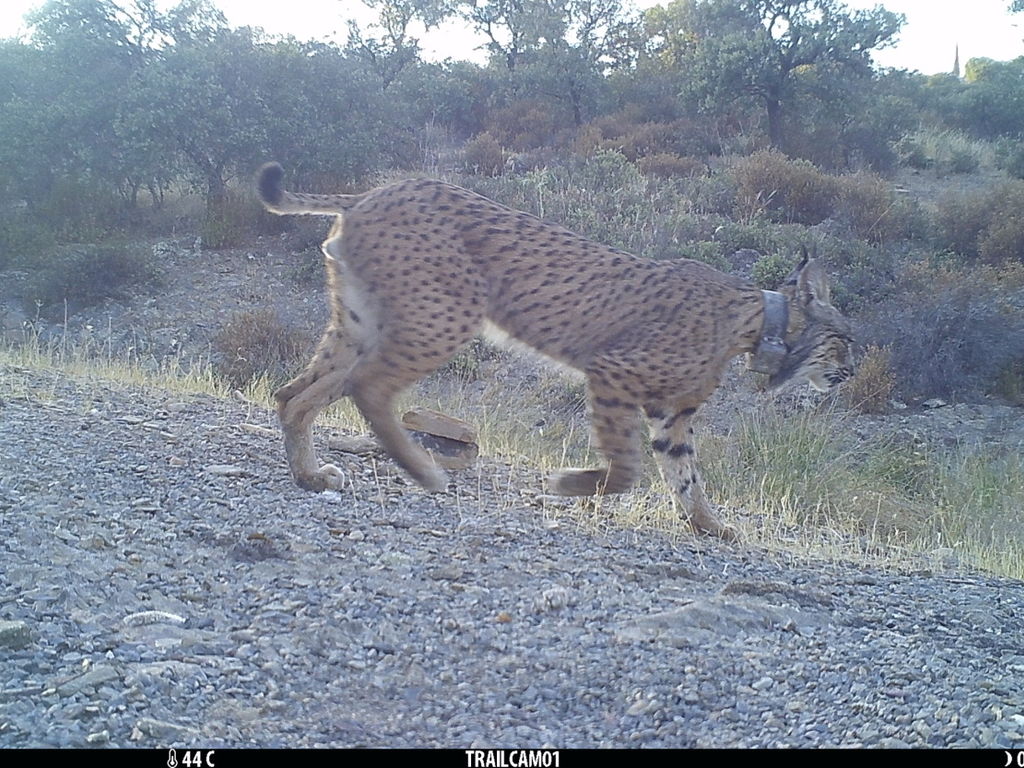 355ead4b-093e-4fb3-93f7-5dbf407f7d90