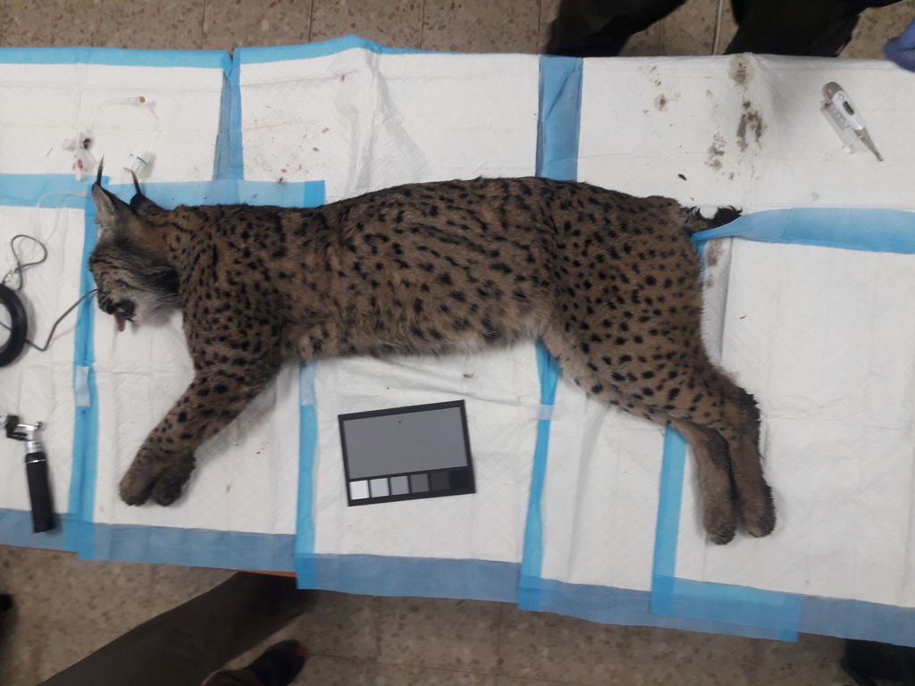 355ead4b-093e-4fb3-93f7-5dbf407f7d90