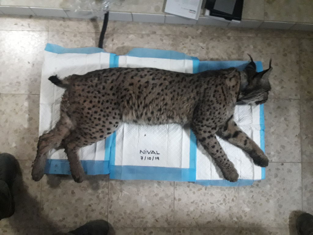 355ead4b-093e-4fb3-93f7-5dbf407f7d90