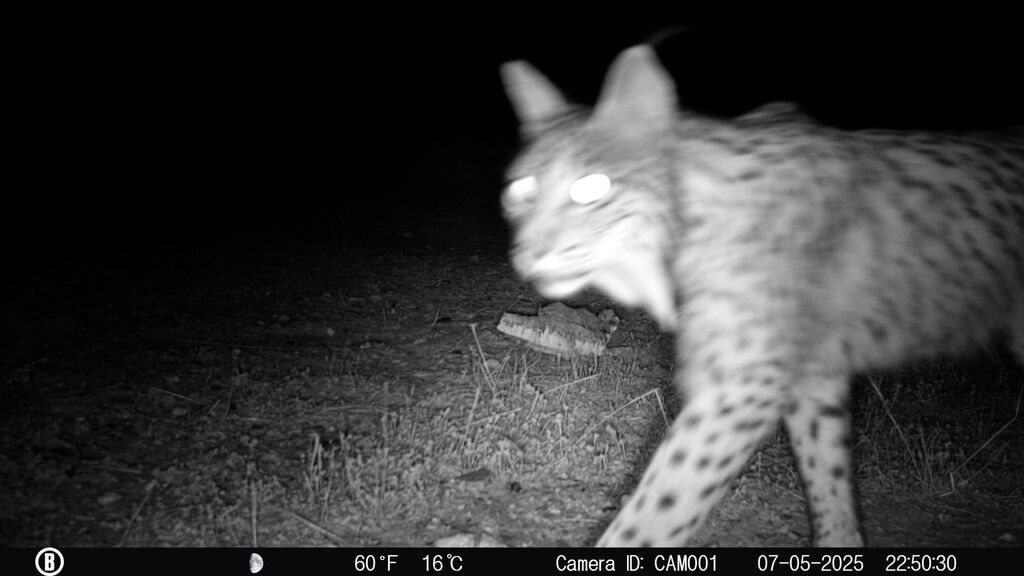 c7acd368-7d9c-4076-9900-caf37e2382f8