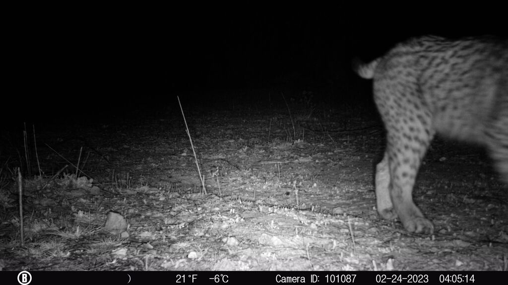 c7acd368-7d9c-4076-9900-caf37e2382f8