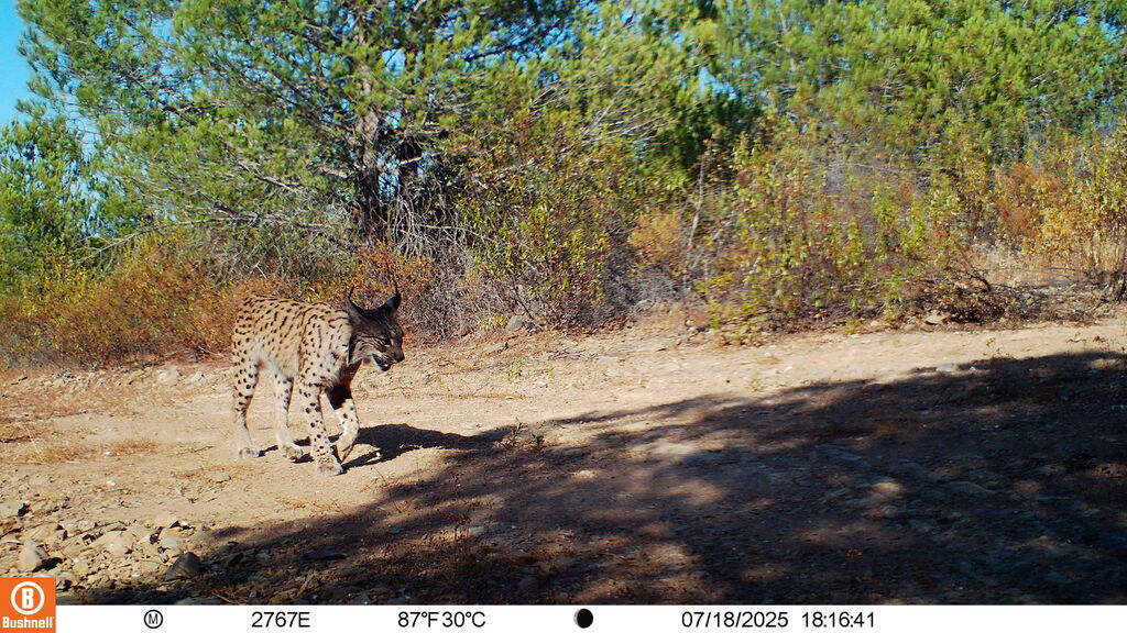 70fc1eca-443b-4a65-bad3-b1b87c4985db