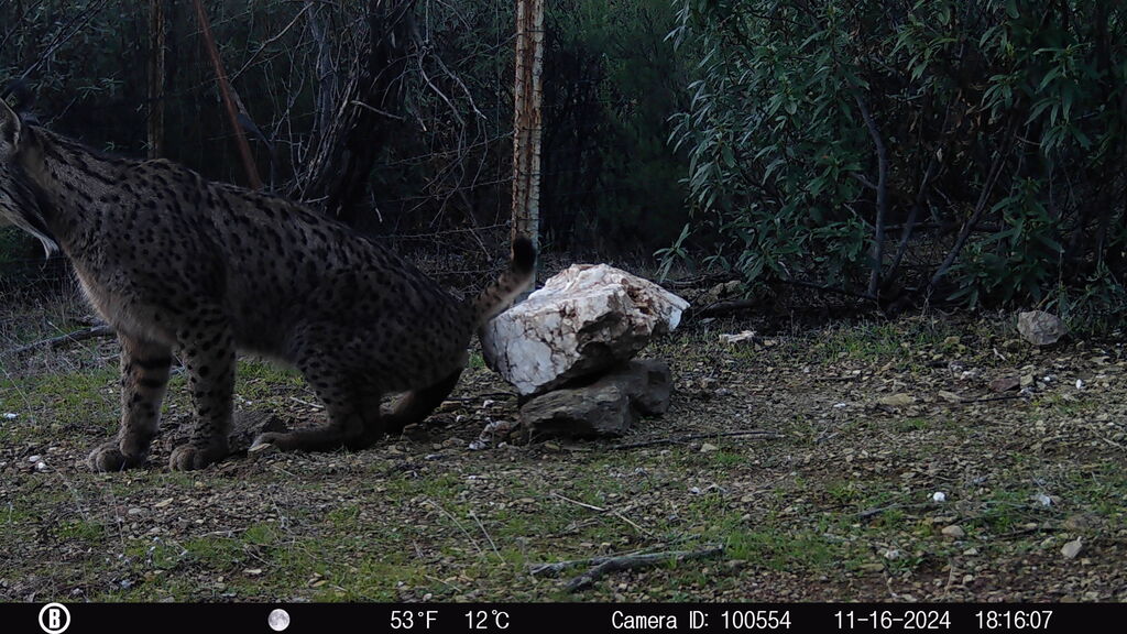 c7acd368-7d9c-4076-9900-caf37e2382f8