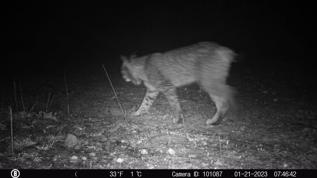 cbf724ce-6745-48dd-a0f8-c32160342c1f