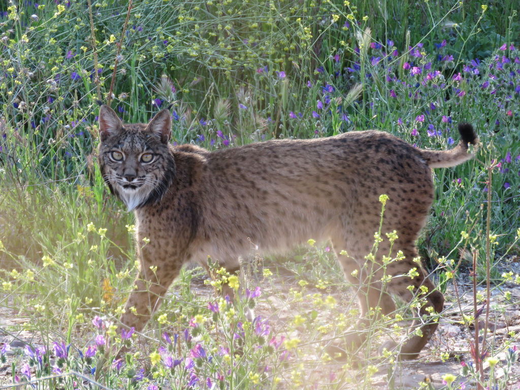 34085749-ea66-446b-97d1-eaa4daa6fff7