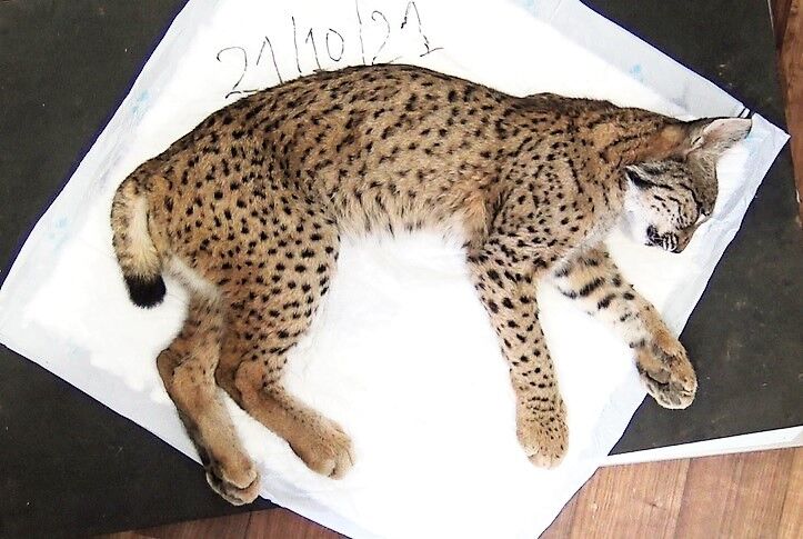 52839e48-d9cb-4a53-a0bd-028f8877976c