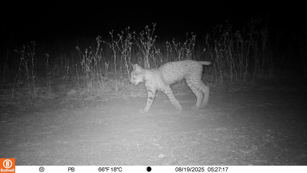 ef2e06a4-1241-4f27-9f81-007c162879ac