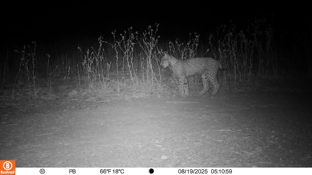 ef2e06a4-1241-4f27-9f81-007c162879ac