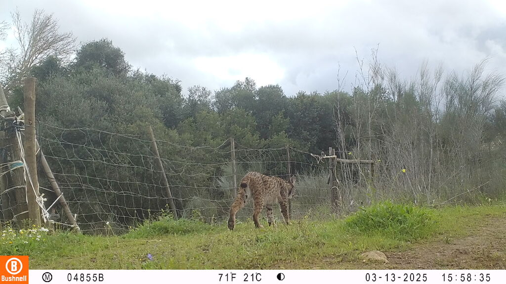 52839e48-d9cb-4a53-a0bd-028f8877976c