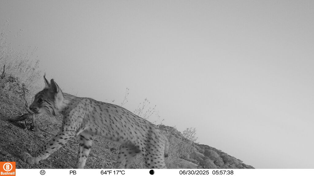 ef2e06a4-1241-4f27-9f81-007c162879ac