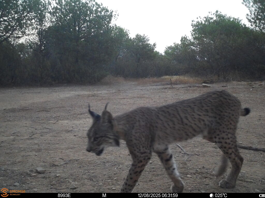 0bb14174-a465-469e-a474-92ed53c77fc4