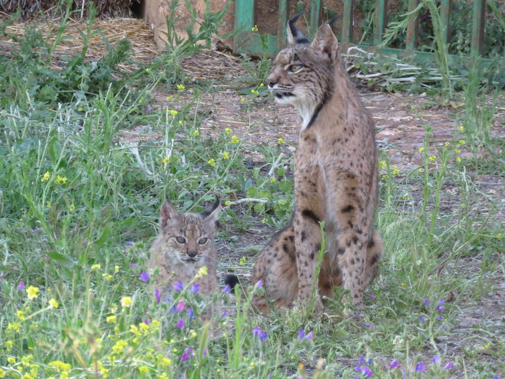 34085749-ea66-446b-97d1-eaa4daa6fff7