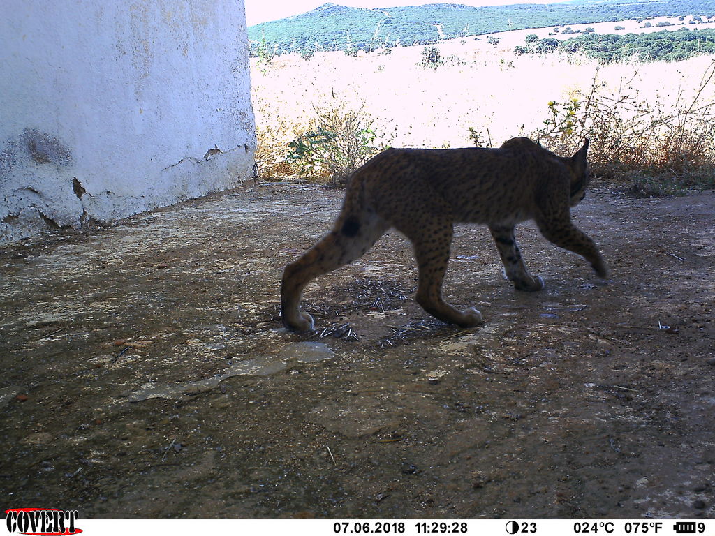 34085749-ea66-446b-97d1-eaa4daa6fff7