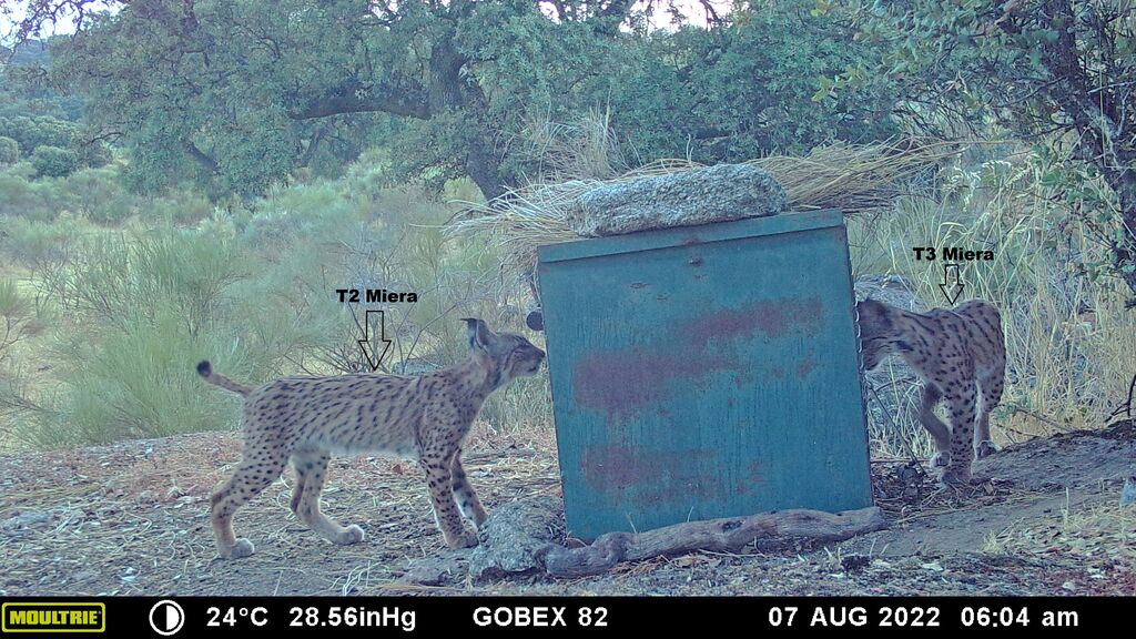 53448696-9b61-4c10-a939-af2e6d7952ff