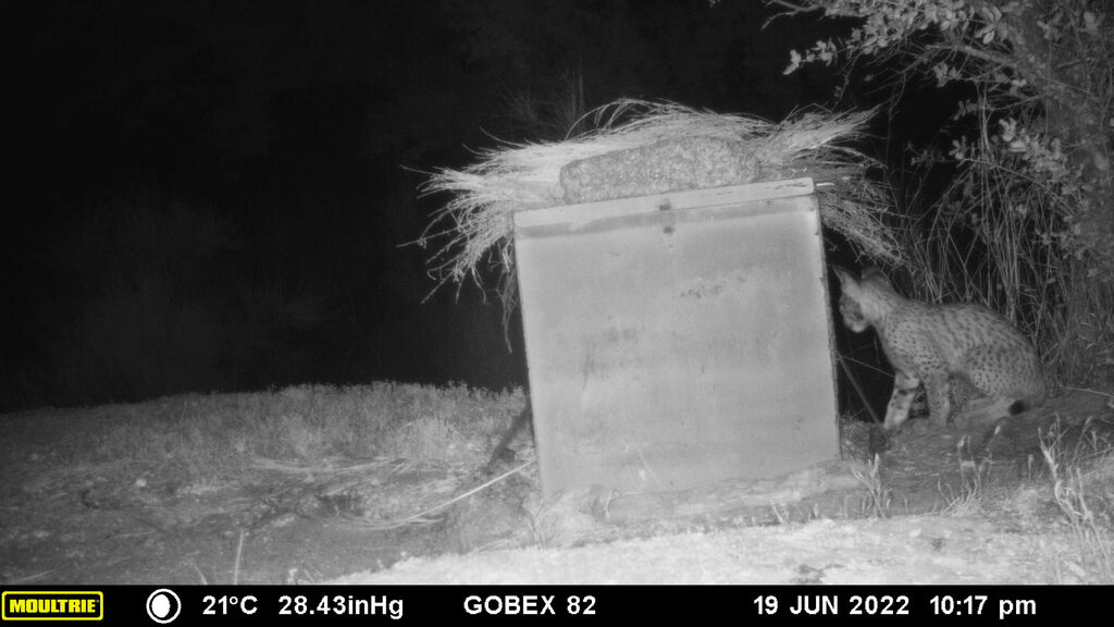 53448696-9b61-4c10-a939-af2e6d7952ff