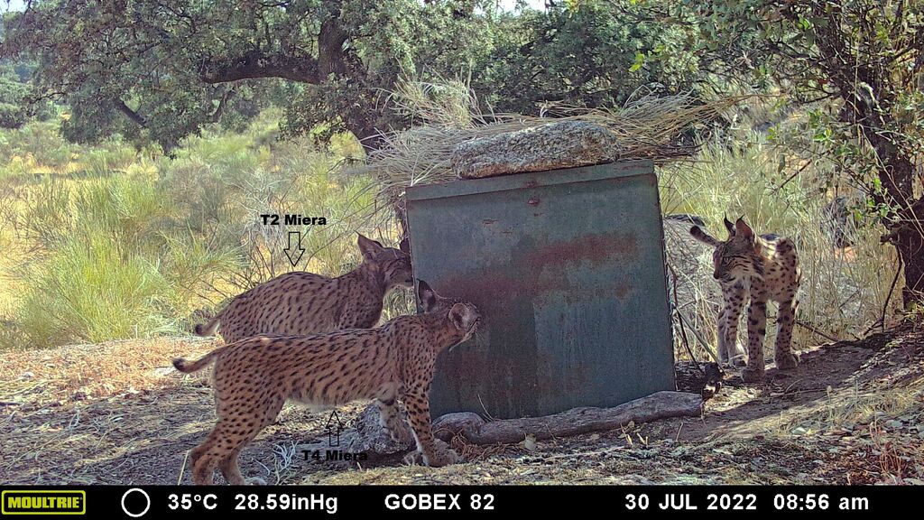 53448696-9b61-4c10-a939-af2e6d7952ff