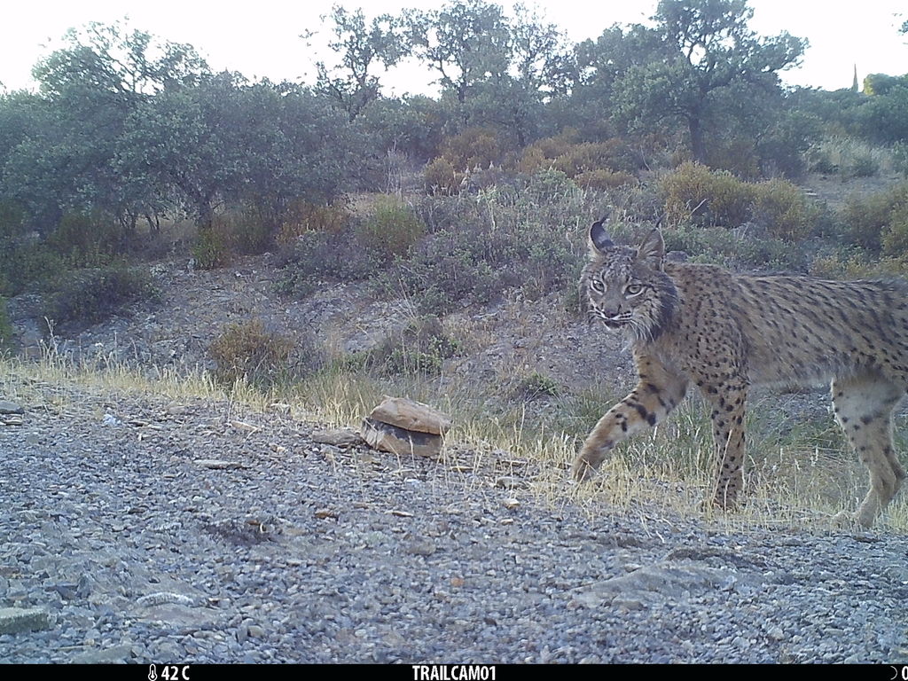 355ead4b-093e-4fb3-93f7-5dbf407f7d90