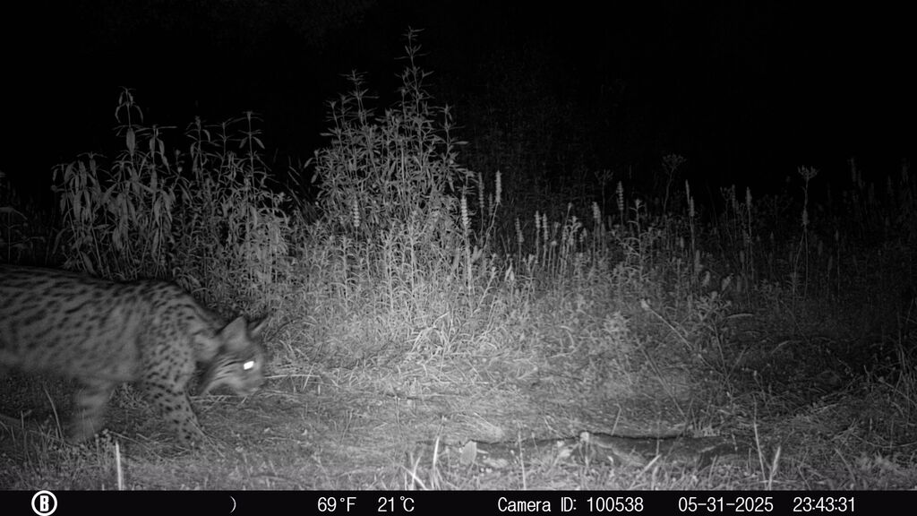 c7acd368-7d9c-4076-9900-caf37e2382f8