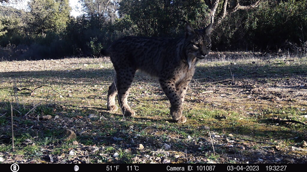 c7acd368-7d9c-4076-9900-caf37e2382f8