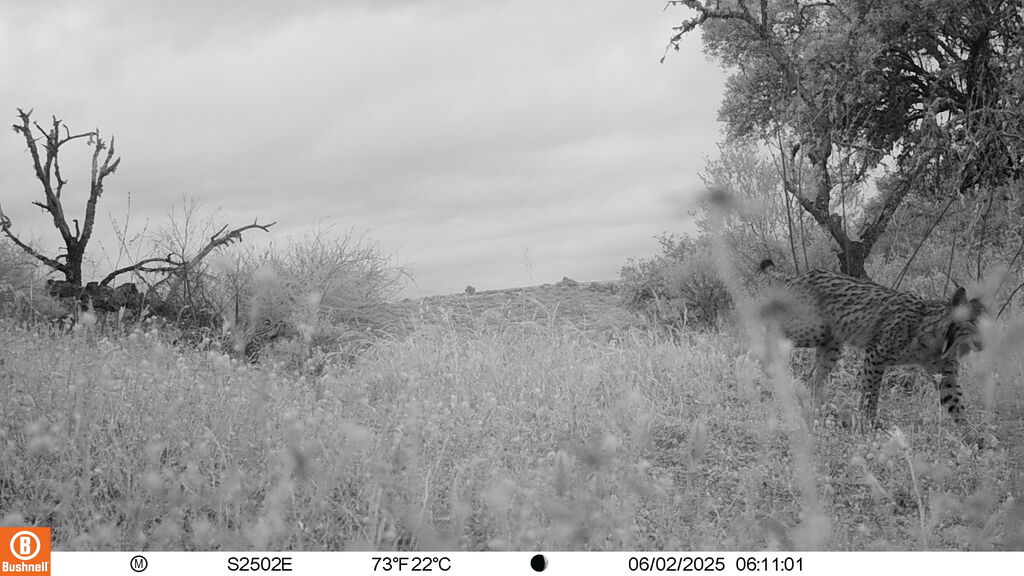 52839e48-d9cb-4a53-a0bd-028f8877976c